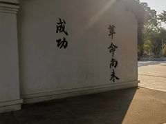 -长洲岛