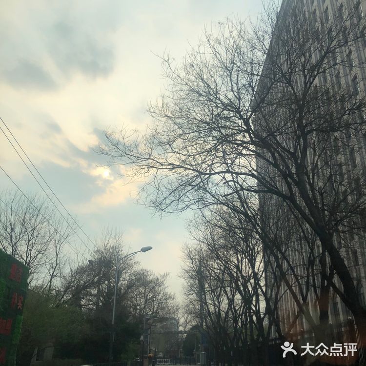 回家的路