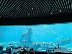 -宴悦海鲜餐厅Driftwood·游水海鲜·牛排(亚龙湾瑞吉店)