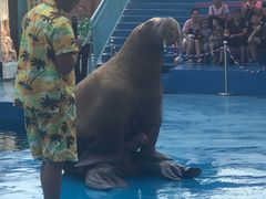 -华夏文旅海洋公园