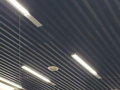-回坊马二饺子馆