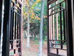 -八大山人梅湖景区