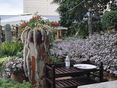 -山菌美食苑(振兴路店)