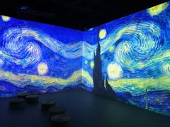 -成都梵高星空艺术馆(春熙路旗舰店)