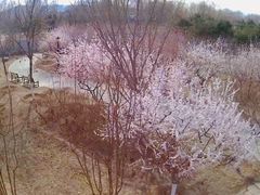 -永定河休闲森林公园