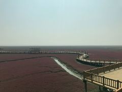 -红海滩国家风景廊道