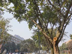-四川大学(望江校区)