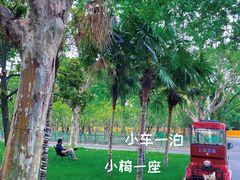-大宁公园