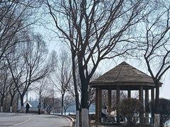 -丁香湖公园