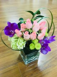 -爱尔乐美孕产瑜伽·普拉提