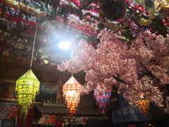 -吉祥圣雪藏餐