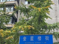 -奎星楼街