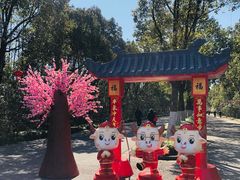 -上海海湾国家森林公园