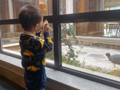 -北京古北水镇御舍温泉酒店