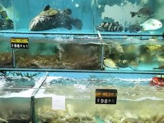 -新享乐海鲜(翠华路店)