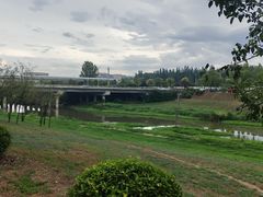 -洨河生态公园