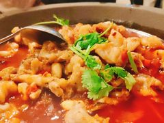 -虎虎龙虾大排档(双井店)