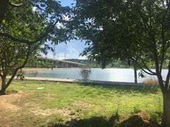 -永定河休闲森林公园