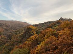 -凤凰山国家森林公园
