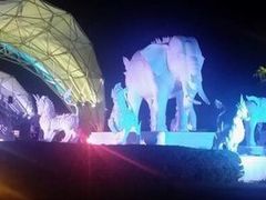 -清迈夜间动物园