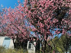 -鹫峰国家森林公园