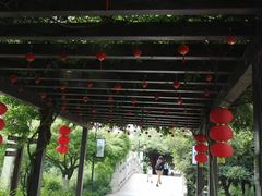 -白马涧龙池景区