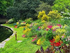 -上海共青森林公园