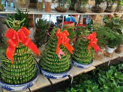 -双季花艺园艺市场(浦东店)