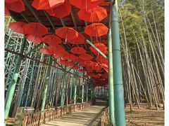 -陶祖圣境风景区