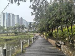 -中澳友谊花园