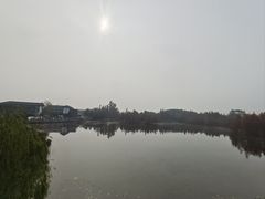 -白鹭湾湿地公园