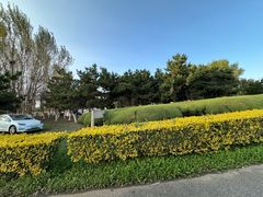 -蒲河岛湿地公园