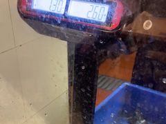 -鱼酷活鱼烤鱼(梅江印象城店)