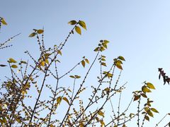-塔子山公园