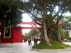 -莲花山公园