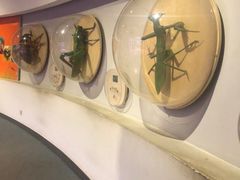 -陕西自然博物馆