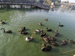 -无锡动物园·太湖欢乐园