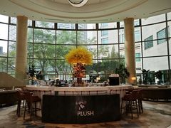-Plush大堂酒廊(北京金融街威斯汀大酒店)