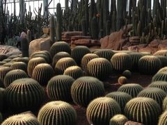 -南通洲际绿博园