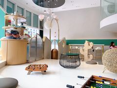 -飞行喵MR PILOT|猫舍·猫咖(静安大融城店)