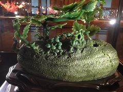 -绮丽珊瑚(台北101旗舰门市店)