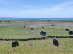 -青海湖国家重点风景名胜区