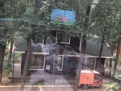 -林栖谷森林康养度假区