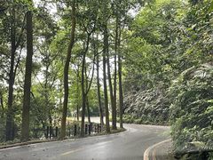 -广州市帽峰山景区