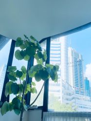 -Fancy梵汐·轻奢量肤定制