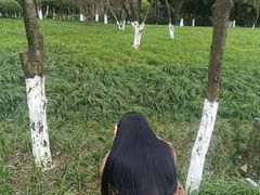 -龙头寺公园