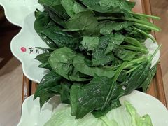 -芦月轩羊蝎子(劲松店)