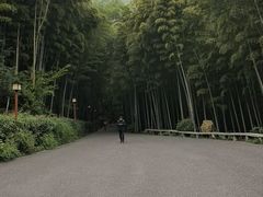 -穹窿山景区