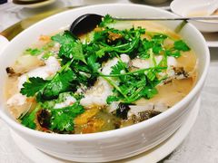酸汤龙胆鱼-宣和苑(华侨新村店)