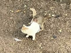 -昆明动物园